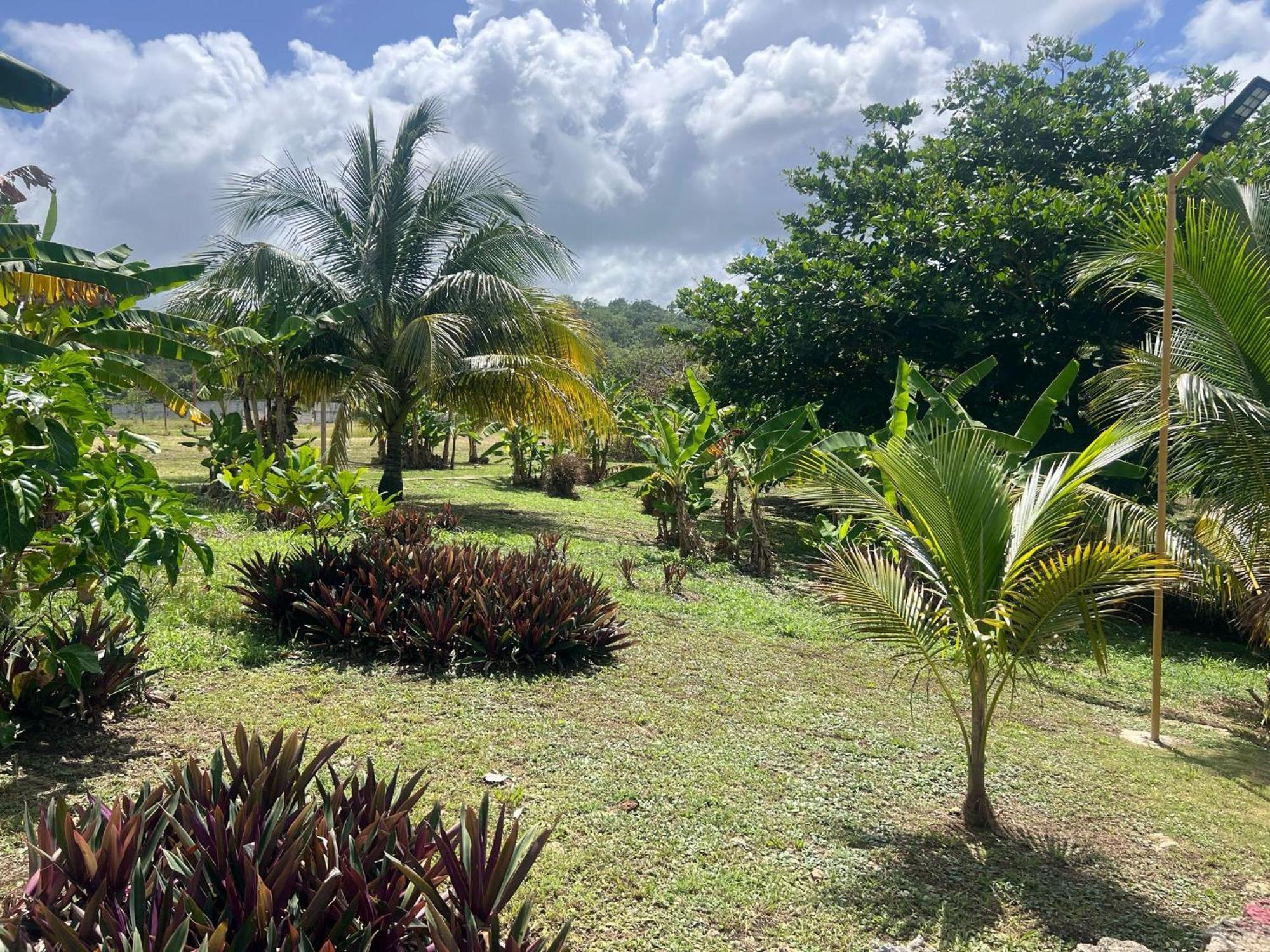 The Sea Cliff Hotel Resort & Spa Port Antonio Extérieur photo