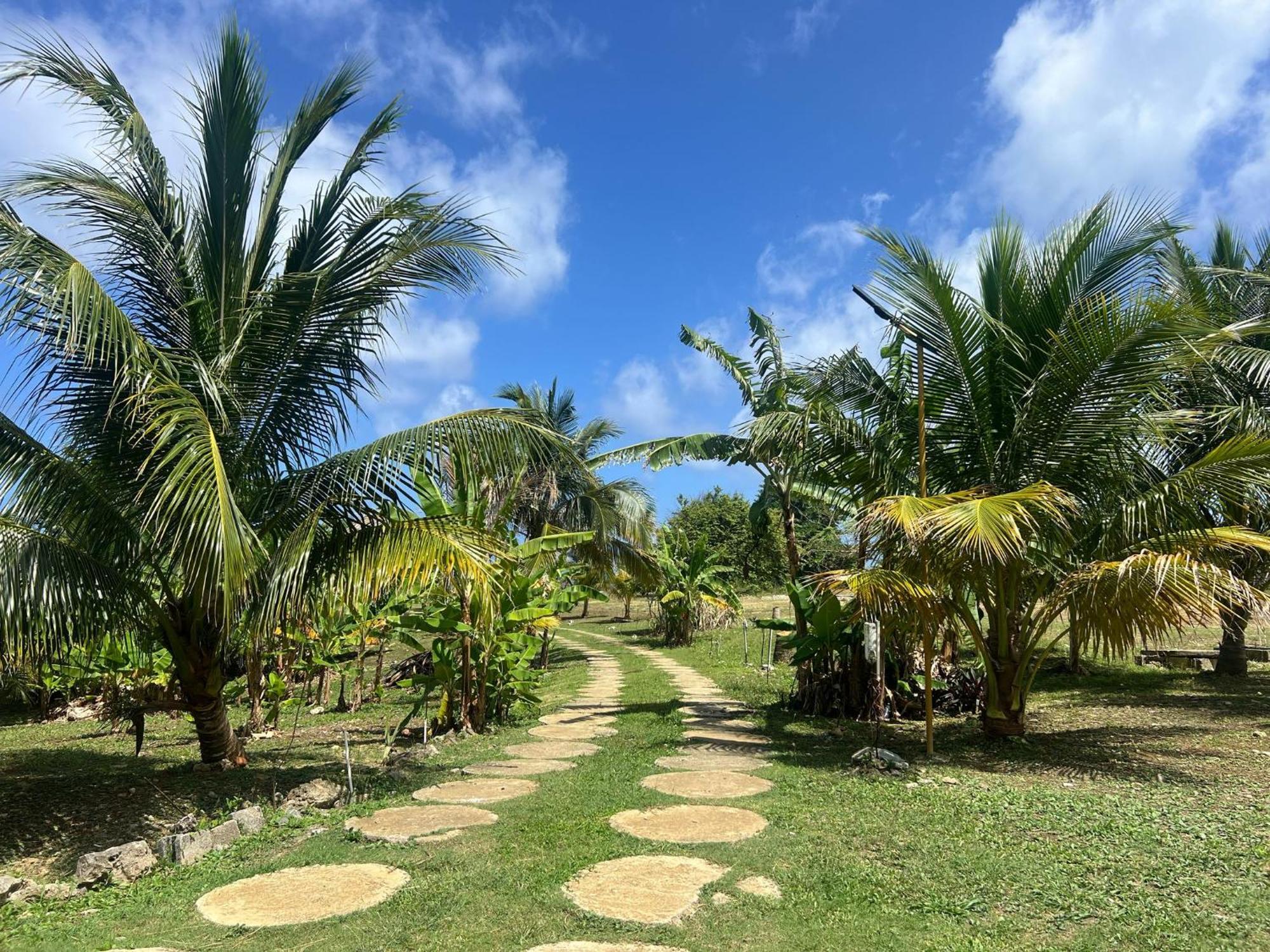 The Sea Cliff Hotel Resort & Spa Port Antonio Extérieur photo